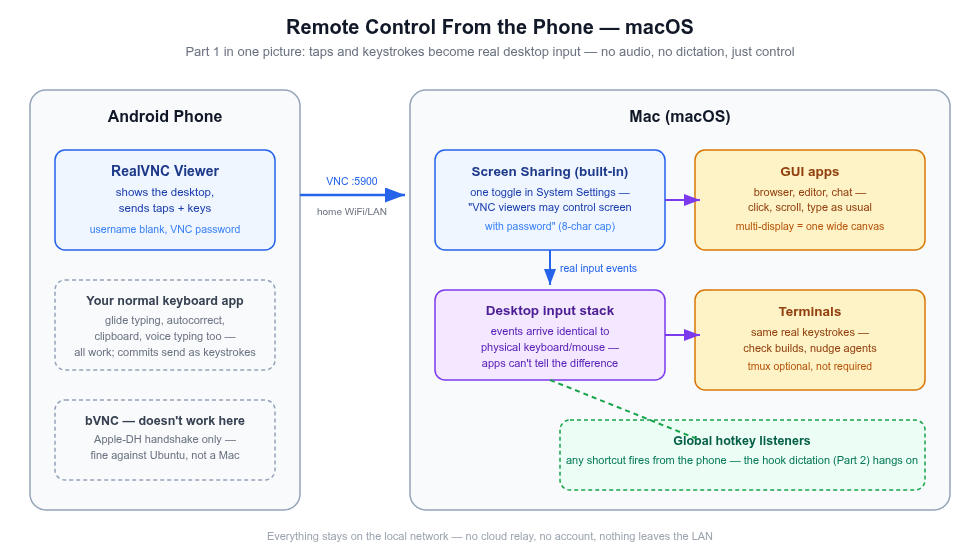 Diagram: Android phone running RealVNC Viewer connects over home WiFi to a Mac. Touch and soft-keyboard input from the client is carried by the VNC protocol over port 5900 into macOS's built-in Screen Sharing server, which injects real mouse and keyboard events into the desktop input stack — GUI apps, terminals, and any global hotkey listener all respond as if the inputs were physical. Keyboard commits — typing, glide input, voice typing — send as keystrokes; bVNC cannot connect to a Mac (Apple-DH handshake only).