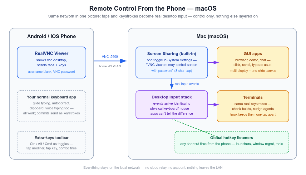 Diagram: Android phone running RealVNC Viewer connects over home WiFi to a Mac. Touch and soft-keyboard input from the client is carried by the VNC protocol over port 5900 into macOS's built-in Screen Sharing server, which injects real mouse and keyboard events into the desktop input stack — GUI apps, terminals, and any global hotkey listener all respond as if the inputs were physical. Keyboard commits — typing, glide input, voice typing — send as keystrokes.