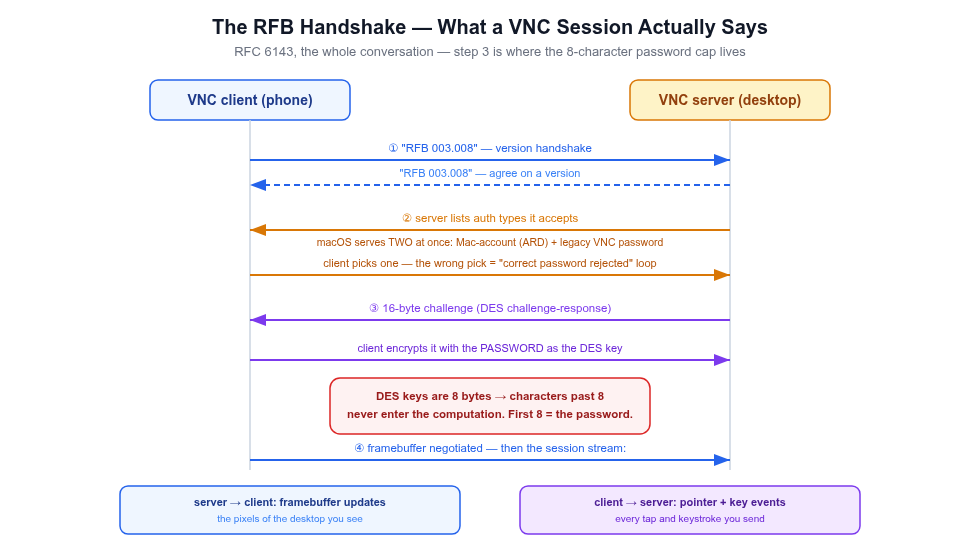 Sequence diagram of the RFB protocol handshake between VNC client and server: version handshake exchanging RFB 003.008 strings, security negotiation where the server lists accepted auth types — macOS offering two at once, Mac-account and legacy VNC password — then DES challenge-response authentication where the password itself is the DES key and DES keys are 8 bytes so characters beyond 8 never enter the computation, then framebuffer negotiation and the steady stream of framebuffer updates server-to-client and pointer and key events client-to-server.